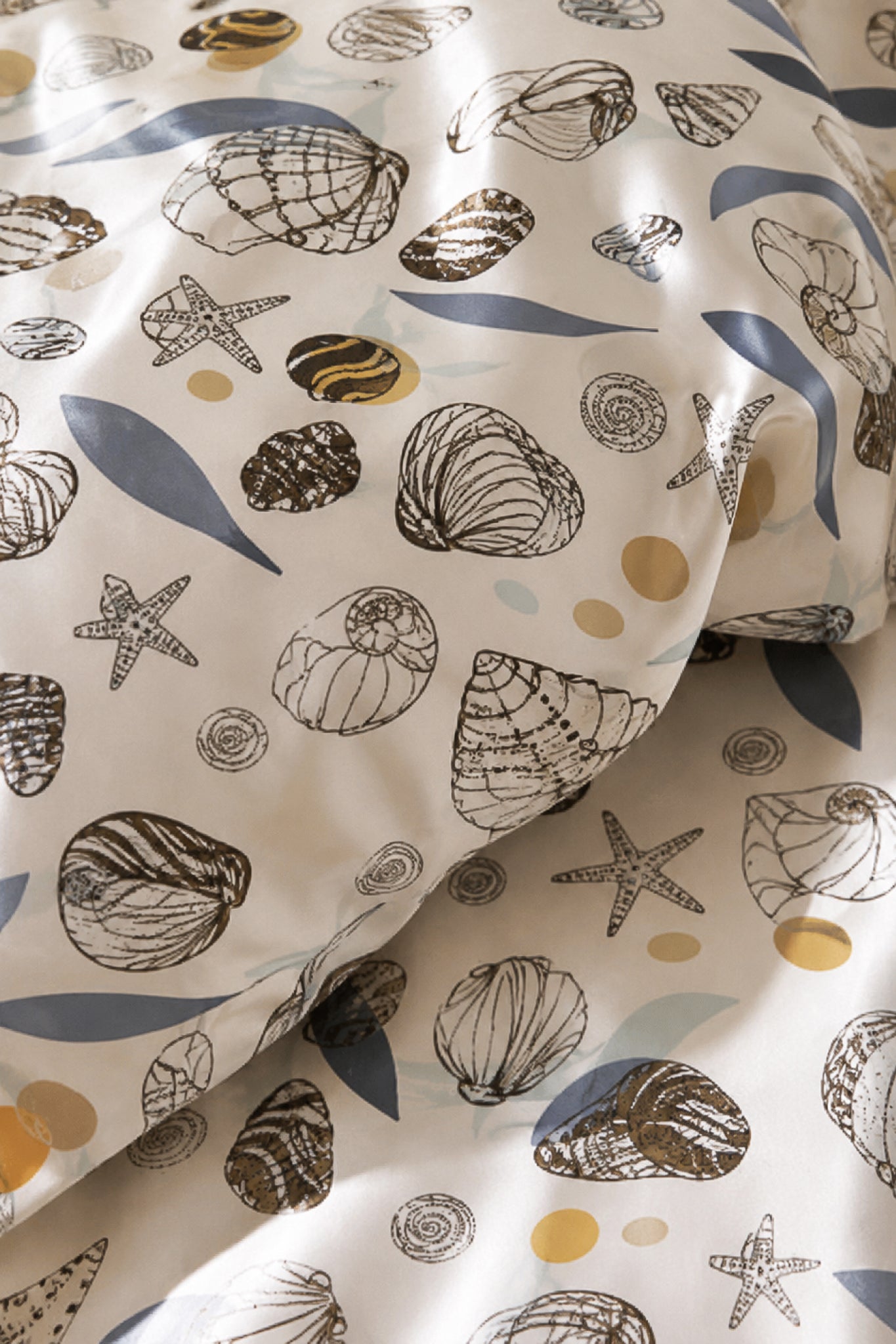 Corail